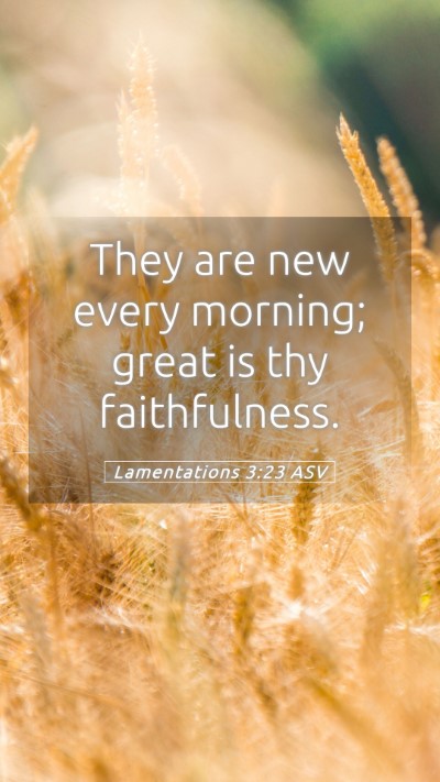 Picture 05 - Lamentations 3:23 ASV Mobile Phone Wallpaper - They are new every morning; great is thy - Mobile Bible Verse Wallpaper