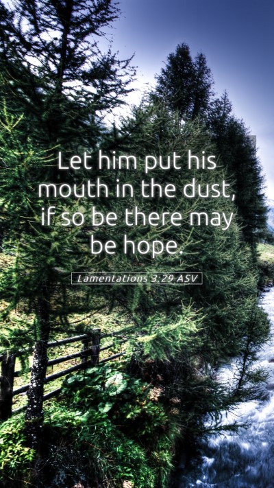 Picture 05 - Lamentations 3:29 ASV Mobile Phone Wallpaper - Let him put his mouth in the dust, if so be there - Mobile Bible Verse Wallpaper