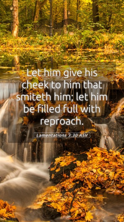 Picture 05 - Lamentations 3:30 ASV Mobile Phone Wallpaper - Let him give his cheek to him that smiteth him; - Mobile Bible Verse Wallpaper
