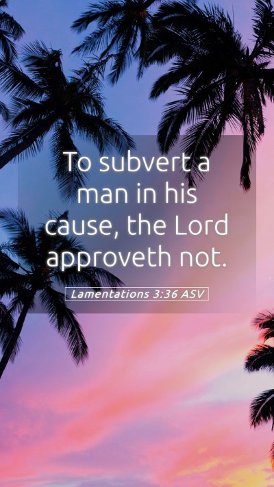 Picture 05 - Lamentations 3:36 ASV Mobile Phone Wallpaper - To subvert a man in his cause, the Lord approveth - Mobile Bible Verse Wallpaper
