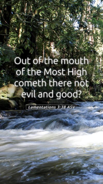 Picture 05 - Lamentations 3:38 ASV Mobile Phone Wallpaper - Out of the mouth of the Most High cometh there - Mobile Bible Verse Wallpaper