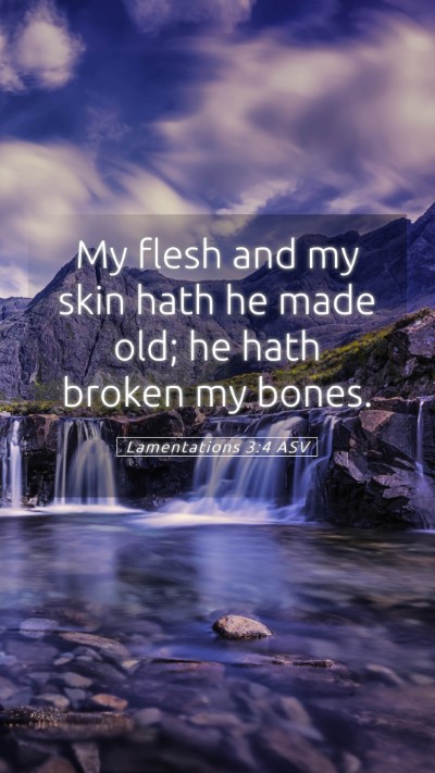 Picture 05 - Lamentations 3:4 ASV Mobile Phone Wallpaper - My flesh and my skin hath he made old; he hath - Mobile Bible Verse Wallpaper