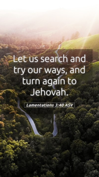 Picture 05 - Lamentations 3:40 ASV Mobile Phone Wallpaper - Let us search and try our ways, and turn again to - Mobile Bible Verse Wallpaper