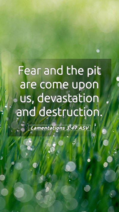 Picture 05 - Lamentations 3:47 ASV Mobile Phone Wallpaper - Fear and the pit are come upon us, devastation - Mobile Bible Verse Wallpaper