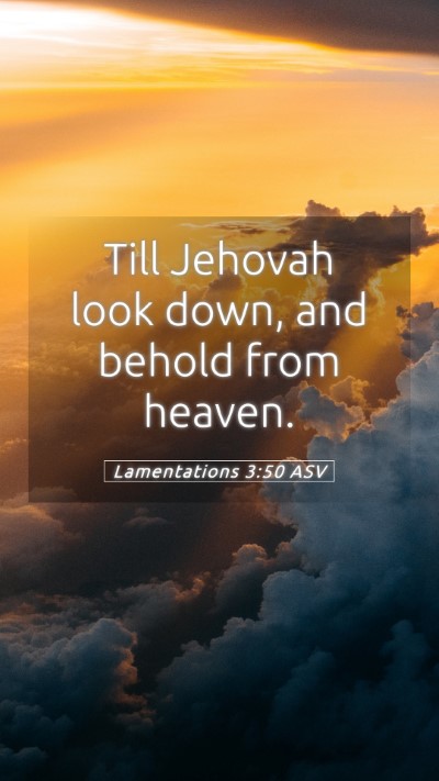 Picture 05 - Lamentations 3:50 ASV Mobile Phone Wallpaper - Till Jehovah look down, and behold from - Mobile Bible Verse Wallpaper