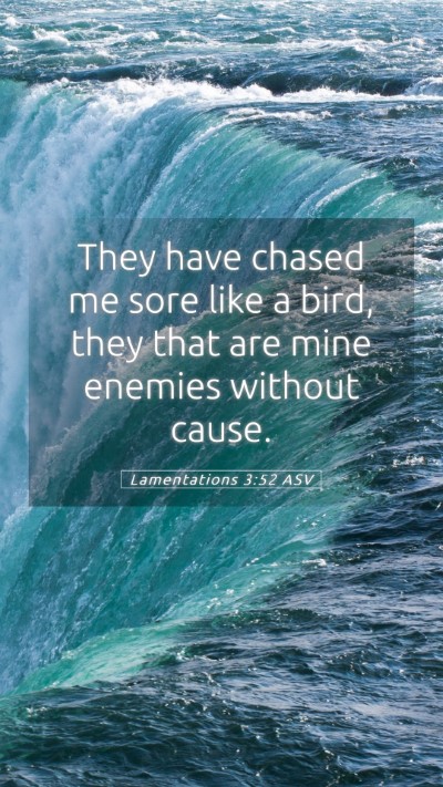 Picture 05 - Lamentations 3:52 ASV Mobile Phone Wallpaper - They have chased me sore like a bird, they that - Mobile Bible Verse Wallpaper
