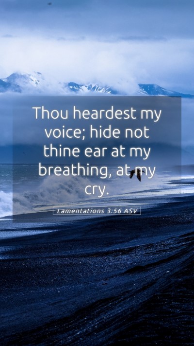 Picture 05 - Lamentations 3:56 ASV Mobile Phone Wallpaper - Thou heardest my voice; hide not thine ear at my - Mobile Bible Verse Wallpaper