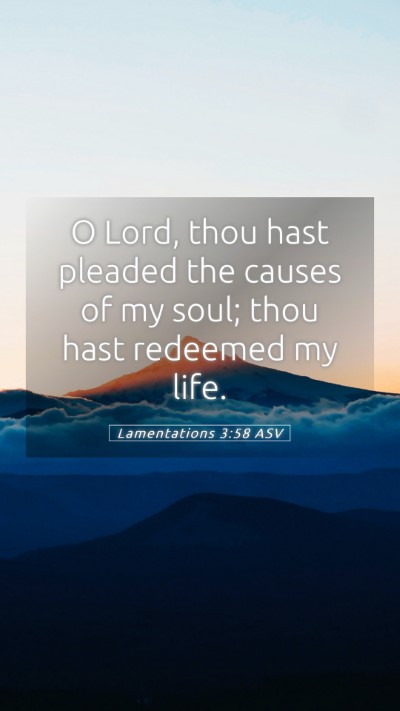 Picture 05 - Lamentations 3:58 ASV Mobile Phone Wallpaper - O Lord, thou hast pleaded the causes of my soul; - Mobile Bible Verse Wallpaper