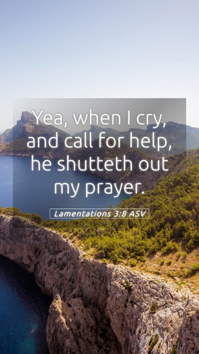 Picture 05 - Lamentations 3:8 ASV Mobile Phone Wallpaper - Yea, when I cry, and call for help, he shutteth - Mobile Bible Verse Wallpaper