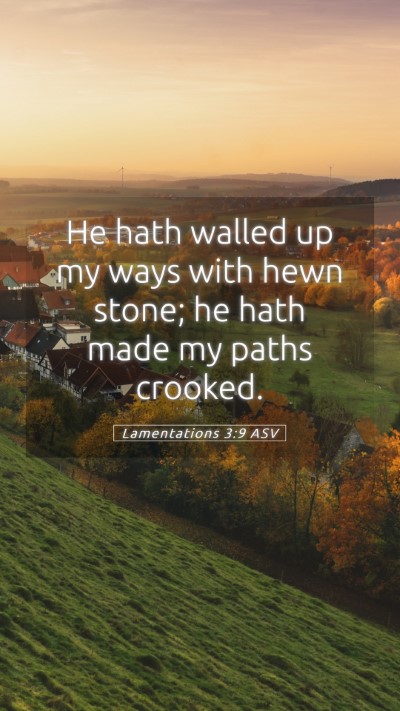 Picture 05 - Lamentations 3:9 ASV Mobile Phone Wallpaper - He hath walled up my ways with hewn stone; he - Mobile Bible Verse Wallpaper