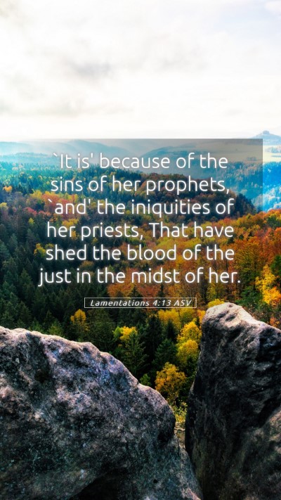 Picture 05 - Lamentations 4:13 ASV Mobile Phone Wallpaper - `It is' because of the sins of her prophets, - Mobile Bible Verse Wallpaper