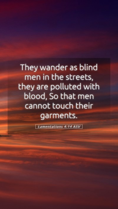 Picture 05 - Lamentations 4:14 ASV Mobile Phone Wallpaper - They wander as blind men in the streets, they are - Mobile Bible Verse Wallpaper