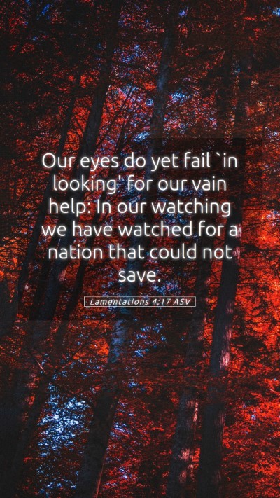 Picture 05 - Lamentations 4:17 ASV Mobile Phone Wallpaper - Our eyes do yet fail `in looking' for our vain - Mobile Bible Verse Wallpaper