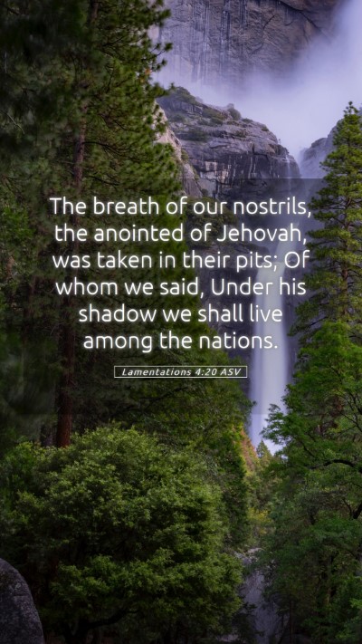 Picture 05 - Lamentations 4:20 ASV Mobile Phone Wallpaper - The breath of our nostrils, the anointed of - Mobile Bible Verse Wallpaper