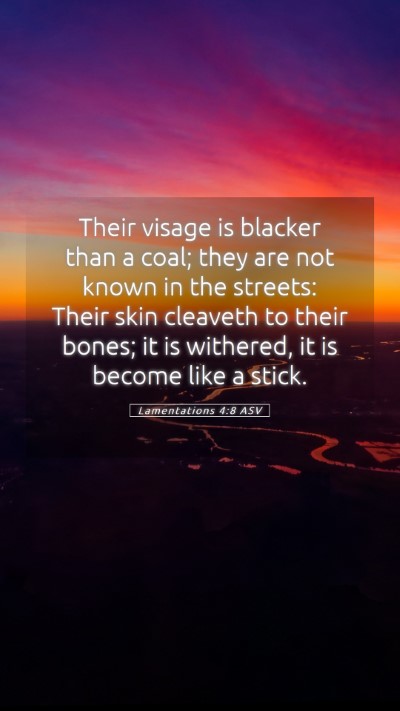 Picture 05 - Lamentations 4:8 ASV Mobile Phone Wallpaper - Their visage is blacker than a coal; they are not - Mobile Bible Verse Wallpaper