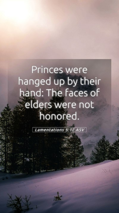 Picture 05 - Lamentations 5:12 ASV Mobile Phone Wallpaper - Princes were hanged up by their hand: The faces - Mobile Bible Verse Wallpaper