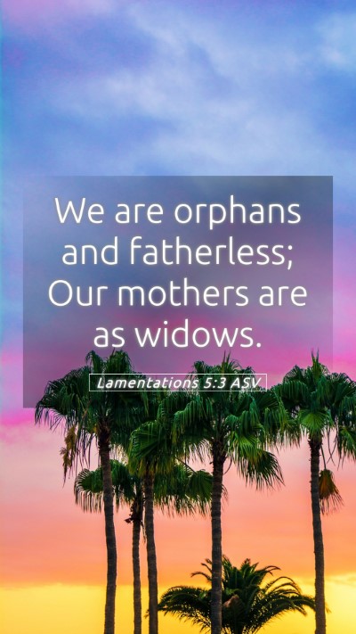 Picture 05 - Lamentations 5:3 ASV Mobile Phone Wallpaper - We are orphans and fatherless; Our mothers are as - Mobile Bible Verse Wallpaper