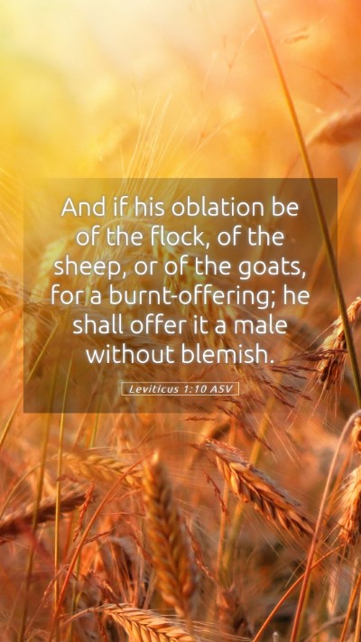Picture 05 - Leviticus 1:10 ASV Mobile Phone Wallpaper - And if his oblation be of the flock, of the - Mobile Bible Verse Wallpaper