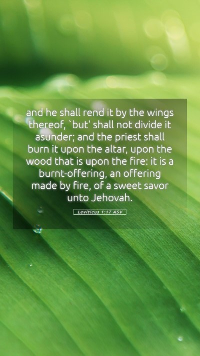 Picture 05 - Leviticus 1:17 ASV Mobile Phone Wallpaper - and he shall rend it by the wings thereof, `but' - Mobile Bible Verse Wallpaper