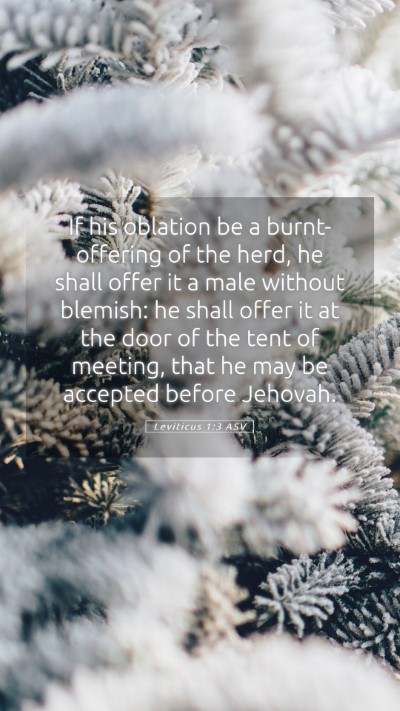 Picture 05 - Leviticus 1:3 ASV Mobile Phone Wallpaper - If his oblation be a burnt-offering of the herd, - Mobile Bible Verse Wallpaper