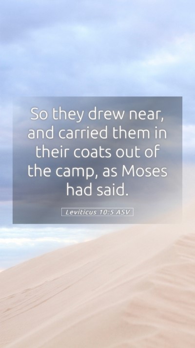 Picture 05 - Leviticus 10:5 ASV Mobile Phone Wallpaper - So they drew near, and carried them in their - Mobile Bible Verse Wallpaper