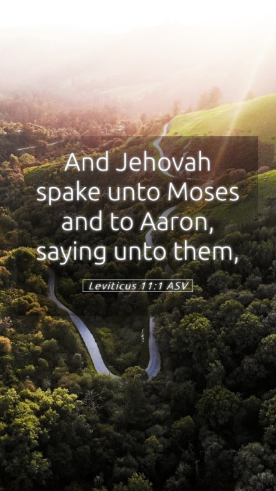 Picture 05 - Leviticus 11:1 ASV Mobile Phone Wallpaper - And Jehovah spake unto Moses and to Aaron, saying - Mobile Bible Verse Wallpaper