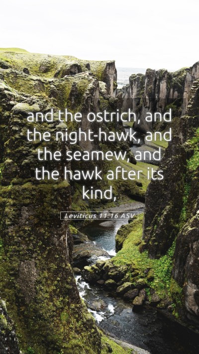 Picture 05 - Leviticus 11:16 ASV Mobile Phone Wallpaper - and the ostrich, and the night-hawk, and the - Mobile Bible Verse Wallpaper