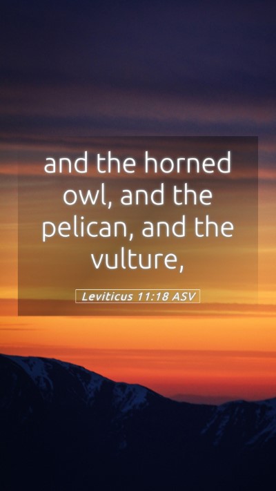Picture 05 - Leviticus 11:18 ASV Mobile Phone Wallpaper - and the horned owl, and the pelican, and the - Mobile Bible Verse Wallpaper