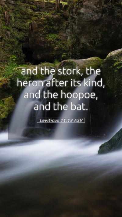 Picture 05 - Leviticus 11:19 ASV Mobile Phone Wallpaper - and the stork, the heron after its kind, and the - Mobile Bible Verse Wallpaper