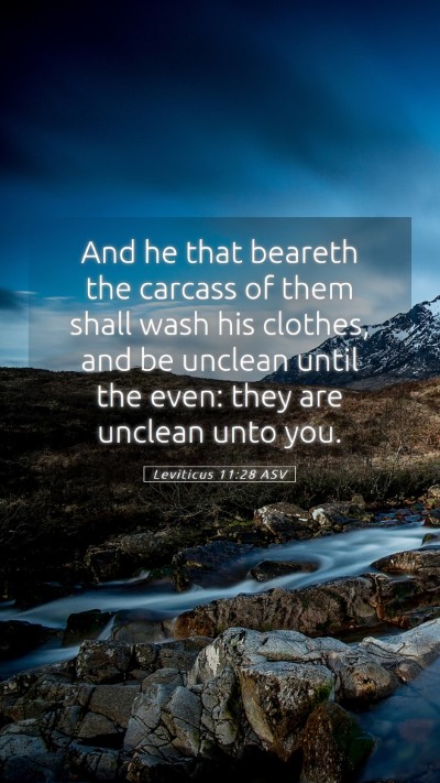 Picture 05 - Leviticus 11:28 ASV Mobile Phone Wallpaper - And he that beareth the carcass of them shall - Mobile Bible Verse Wallpaper