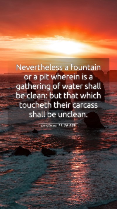 Picture 05 - Leviticus 11:36 ASV Mobile Phone Wallpaper - Nevertheless a fountain or a pit wherein is a - Mobile Bible Verse Wallpaper
