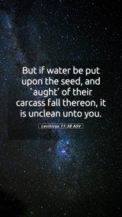 Picture 05 - Leviticus 11:38 ASV Mobile Phone Wallpaper - But if water be put upon the seed, and `aught' of - Mobile Bible Verse Wallpaper