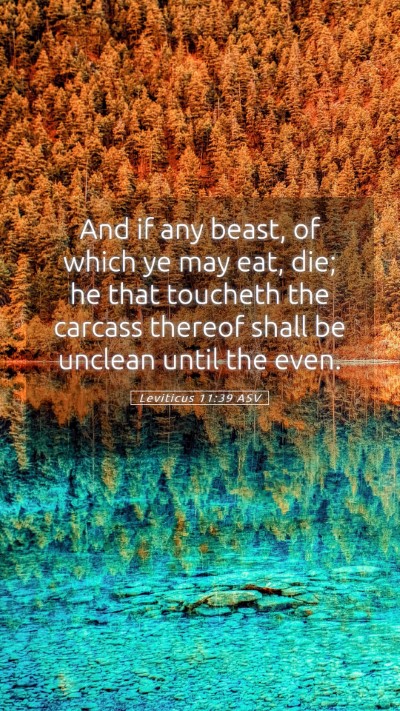 Picture 05 - Leviticus 11:39 ASV Mobile Phone Wallpaper - And if any beast, of which ye may eat, die; he - Mobile Bible Verse Wallpaper