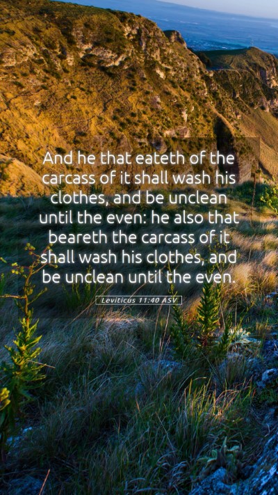 Picture 05 - Leviticus 11:40 ASV Mobile Phone Wallpaper - And he that eateth of the carcass of it shall - Mobile Bible Verse Wallpaper
