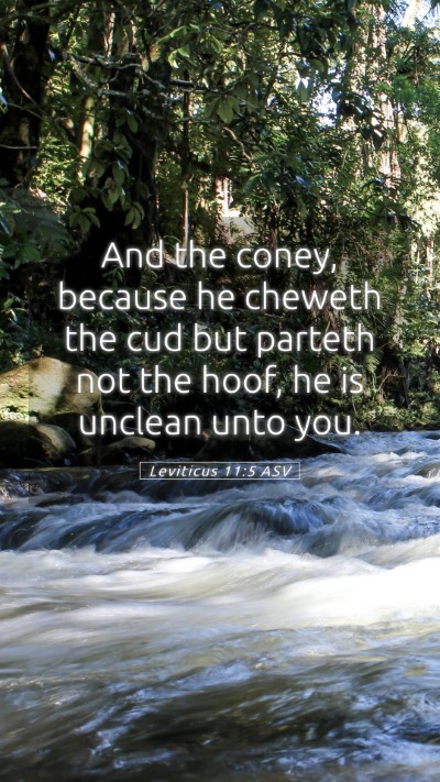 Picture 05 - Leviticus 11:5 ASV Mobile Phone Wallpaper - And the coney, because he cheweth the cud but - Mobile Bible Verse Wallpaper