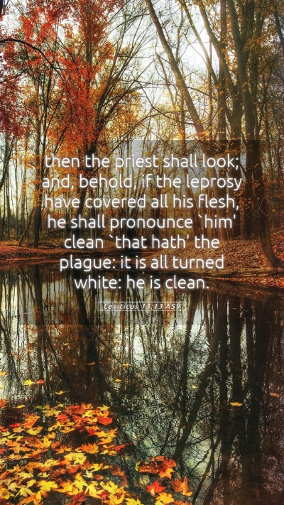 Picture 05 - Leviticus 13:13 ASV Mobile Phone Wallpaper - then the priest shall look; and, behold, if the - Mobile Bible Verse Wallpaper