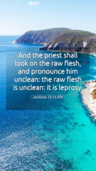 Picture 05 - Leviticus 13:15 ASV Mobile Phone Wallpaper - And the priest shall look on the raw flesh, and - Mobile Bible Verse Wallpaper