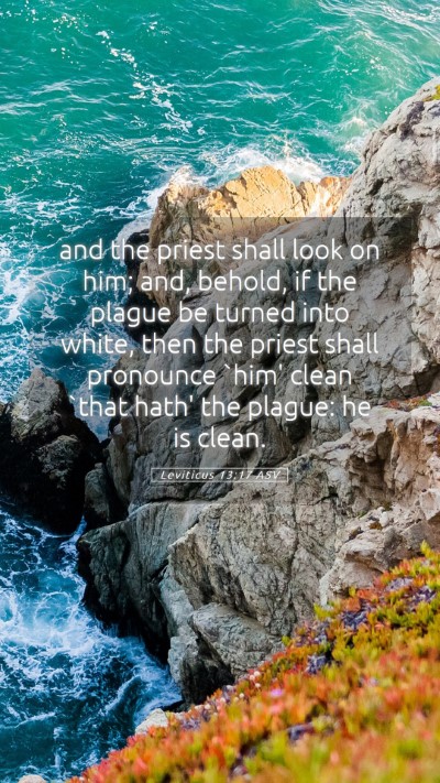 Picture 05 - Leviticus 13:17 ASV Mobile Phone Wallpaper - and the priest shall look on him; and, behold, if - Mobile Bible Verse Wallpaper