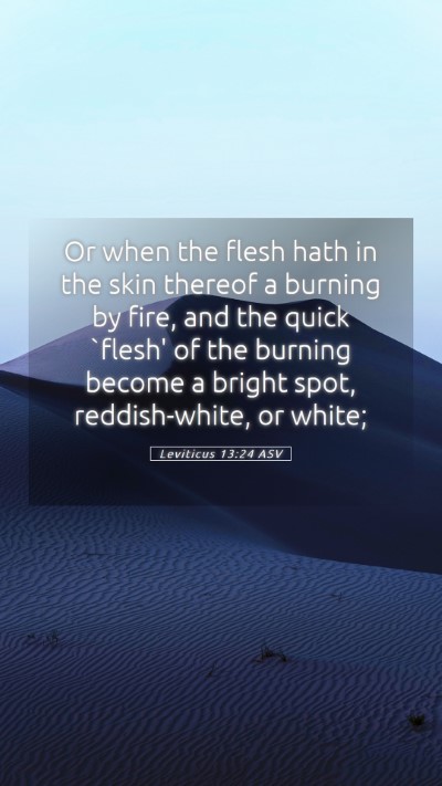 Picture 05 - Leviticus 13:24 ASV Mobile Phone Wallpaper - Or when the flesh hath in the skin thereof a - Mobile Bible Verse Wallpaper