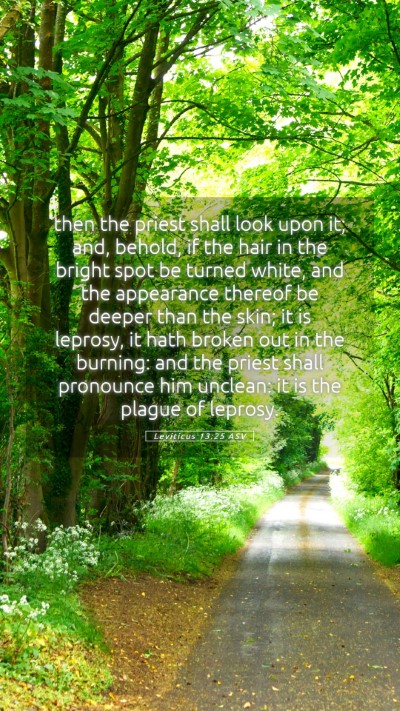 Picture 05 - Leviticus 13:25 ASV Mobile Phone Wallpaper - then the priest shall look upon it; and, behold, - Mobile Bible Verse Wallpaper