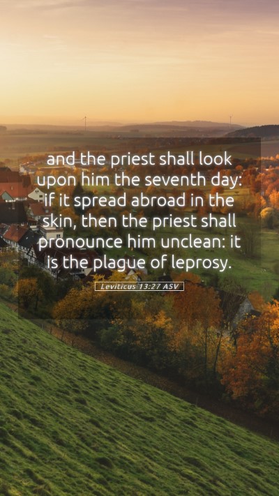 Picture 05 - Leviticus 13:27 ASV Mobile Phone Wallpaper - and the priest shall look upon him the seventh - Mobile Bible Verse Wallpaper