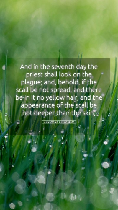 Picture 05 - Leviticus 13:32 ASV Mobile Phone Wallpaper - And in the seventh day the priest shall look on - Mobile Bible Verse Wallpaper