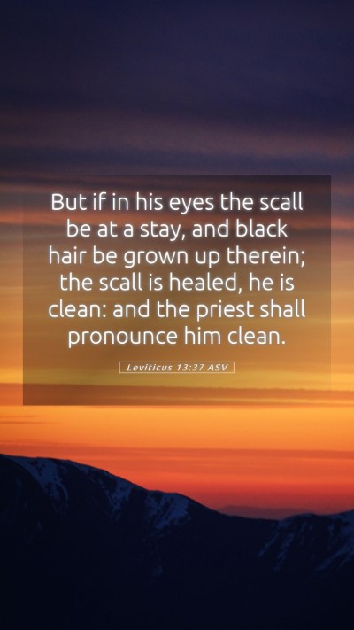 Picture 05 - Leviticus 13:37 ASV Mobile Phone Wallpaper - But if in his eyes the scall be at a stay, and - Mobile Bible Verse Wallpaper