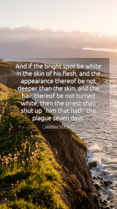 Picture 05 - Leviticus 13:4 ASV Mobile Phone Wallpaper - And if the bright spot be white in the skin of - Mobile Bible Verse Wallpaper