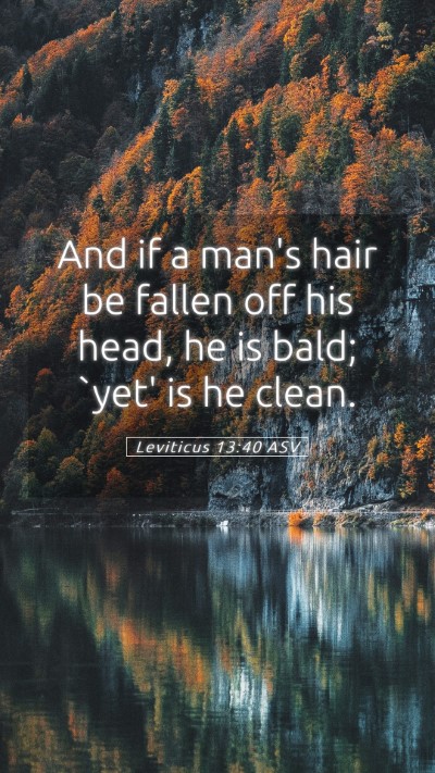 Picture 05 - Leviticus 13:40 ASV Mobile Phone Wallpaper - And if a man's hair be fallen off his head, he is - Mobile Bible Verse Wallpaper