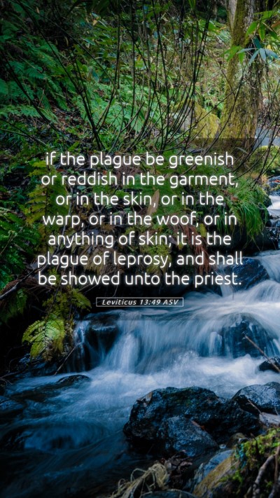Picture 05 - Leviticus 13:49 ASV Mobile Phone Wallpaper - if the plague be greenish or reddish in the - Mobile Bible Verse Wallpaper