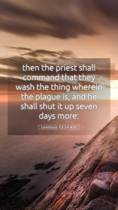Picture 05 - Leviticus 13:54 ASV Mobile Phone Wallpaper - then the priest shall command that they wash the - Mobile Bible Verse Wallpaper