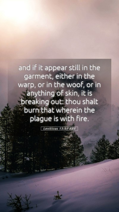 Picture 05 - Leviticus 13:57 ASV Mobile Phone Wallpaper - and if it appear still in the garment, either in - Mobile Bible Verse Wallpaper