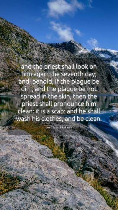 Picture 05 - Leviticus 13:6 ASV Mobile Phone Wallpaper - and the priest shall look on him again the - Mobile Bible Verse Wallpaper
