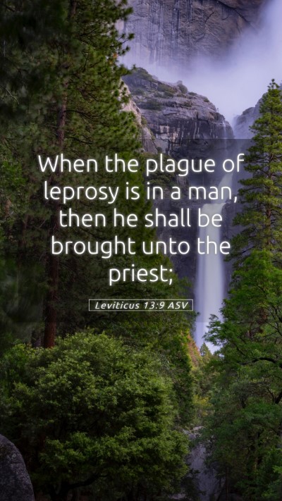 Picture 05 - Leviticus 13:9 ASV Mobile Phone Wallpaper - When the plague of leprosy is in a man, then he - Mobile Bible Verse Wallpaper